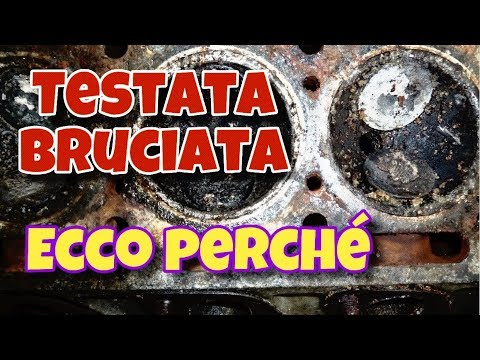 Sigillo su dellanca Sintomi di tosse e mal di schiena