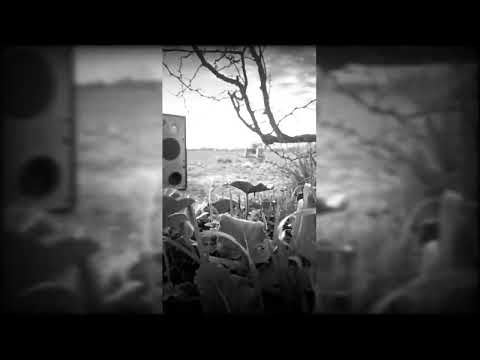 Mefiz-Tofel - El Viento... (Scratch x Dj SeeAll) -  Prod.  Zin-Urú Homestudio