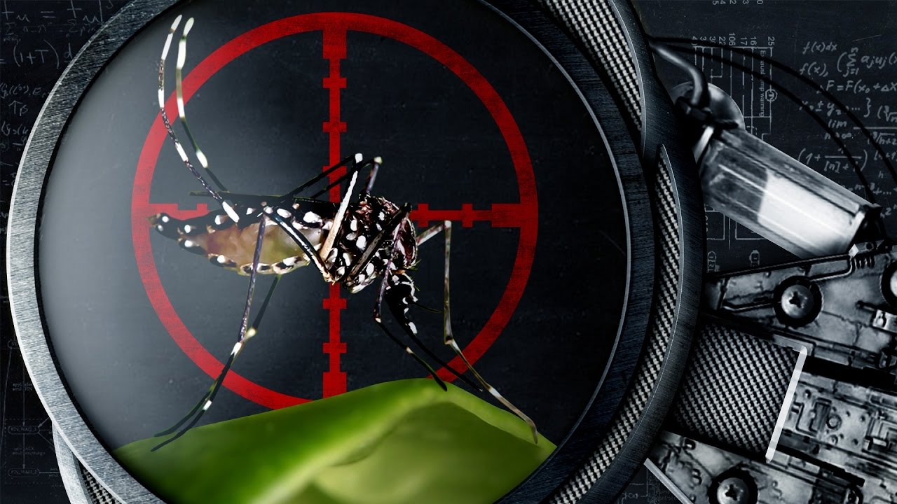 Yellow Fever | Nerdologia