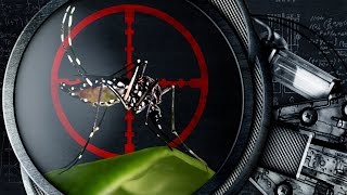Yellow Fever | Nerdologia