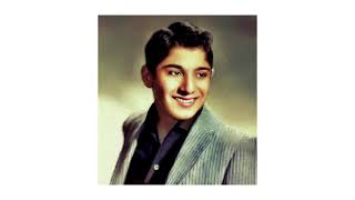 Paul Anka ~ Just Young