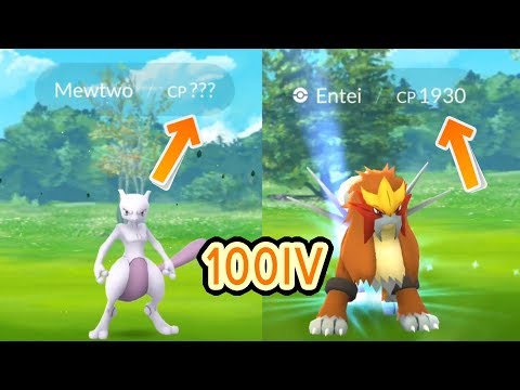 100IV Entei + Mewtwo CP? & Dragonite in the wild [Pokemon Go]
