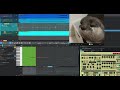 かわうその動画が可愛かったのでsynth1で作ってみました