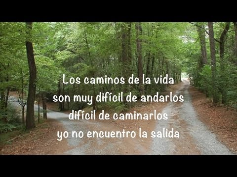 Los Caminos de la Vida - La Tropa Vallenata (Letra)