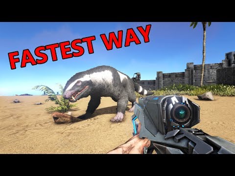 Fastest Way To Get Shielder Data The Lok S Book Of Monsters - theonishow 24 448