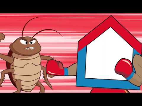 Rentokil Pest Control