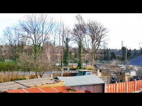 Colas'60096 on 6C37 Chirk-Carlisle logs @ Bushbury Jcn 4-2-18