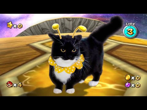 Uni the Cat in Super Mario Galaxy