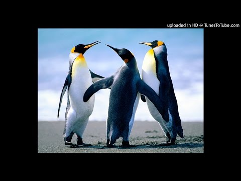 Streunerkind - Ein Geist - Misc Originals