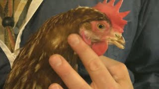 Thumbnail