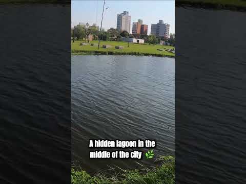 🌿 Hidden Urban Oasis in Argentina 🇦🇷 | Laguna Argüello