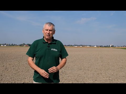 Winterroggenanbau 2023 - Heurige Herausforderungen & Sortenwahl