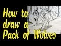 View 21 Wolf Pack Drawing Base