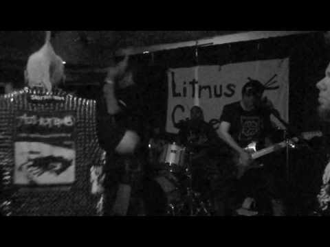 Litmus Green - Refuse & For Too