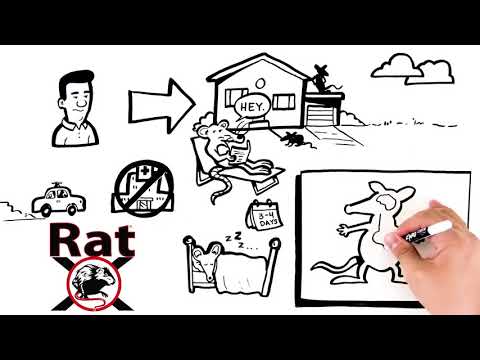 EcoClear Products 620102, RatX All-Natural Non-Toxic Humane Rat and Mouse Killer Pellets, 3  Reviews