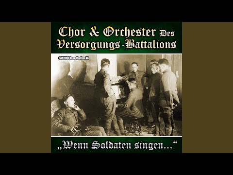 Im Wald, im grünen Walde