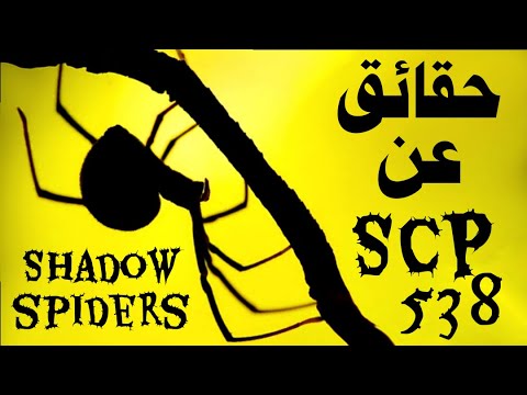 حين تجتمع فوبيا العناكب مع فوبيا الضلام - الاسي بي 538 عناكب الظل