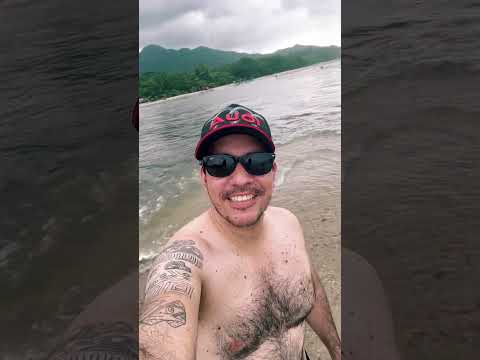Palomino en la Guajira
