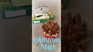 出オチですが何か？(開き直り) #shorts #メリークリスマス #いつもの #2025 #たけのこの里 #ケーキ