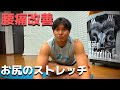 【腰痛改善】お尻にフォーカスしたストレッチ