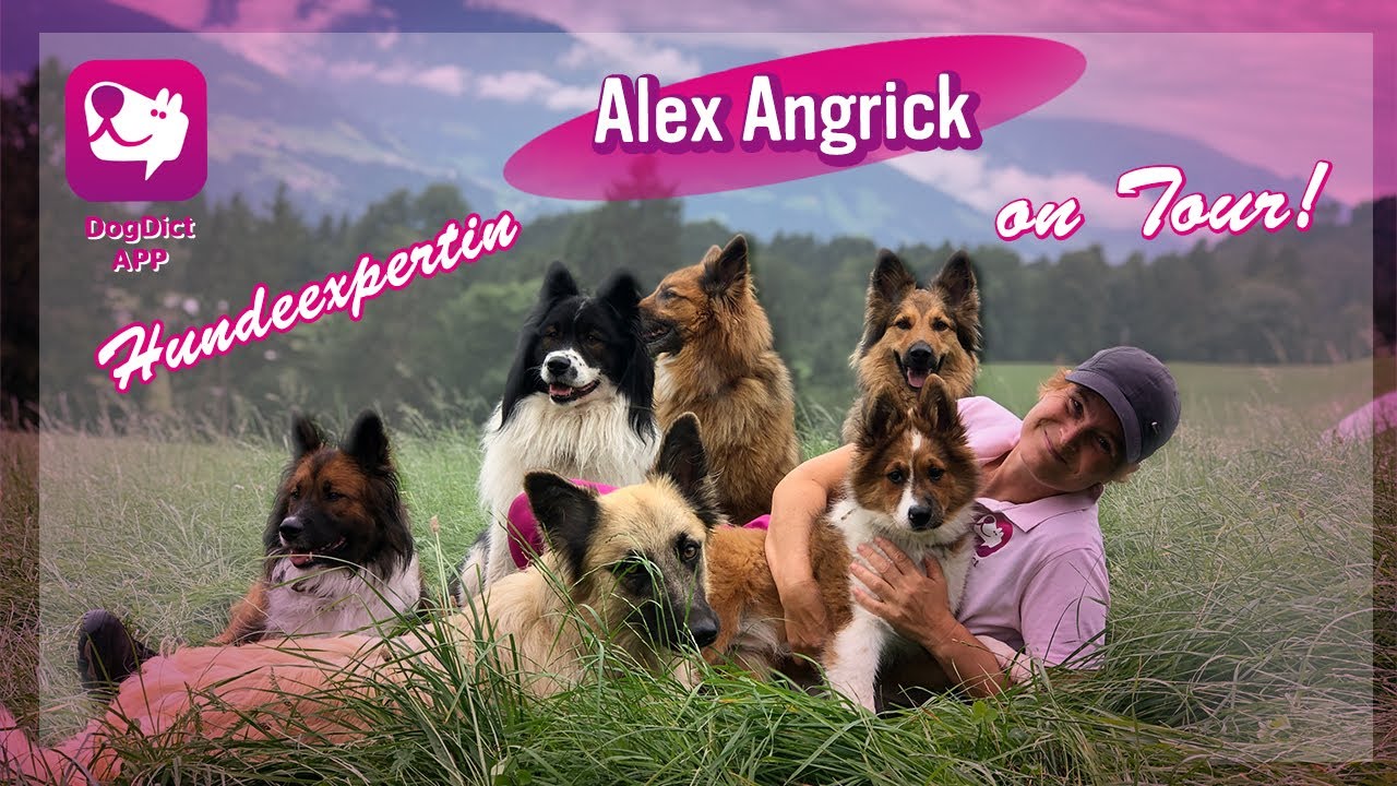 Folge 01: Hundeexpertin Alex Angrick on Tour