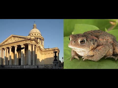 pantheon vs tahm kench