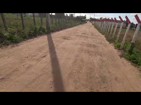 Conheça os trios do trem da Conceição da feira Bahia. 