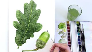 How to paint a realistic leaf in watercolour