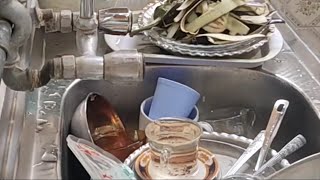 Dishwashing _where every bubble sings and every plate shines bright