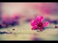 A Little Bit Closer -Line Dance 