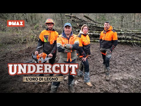 Tensions rise in Team Germani | Undercut: Legno's gold