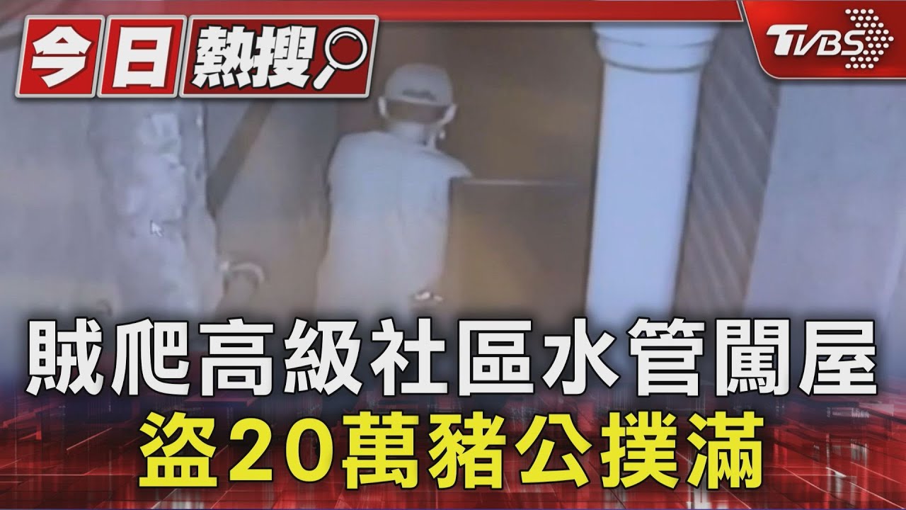 蜘蛛人竊賊攀水管闖高級社區　20分鐘偷走近20萬「豬公撲滿」