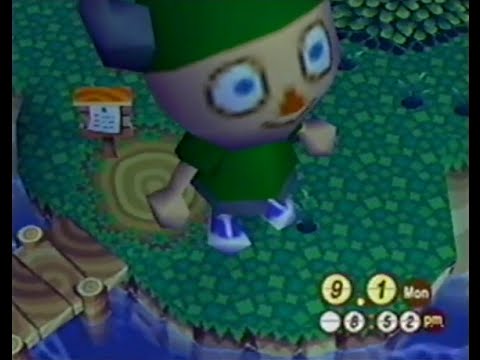 Animal Crossing with the Action Replay (GameCube)