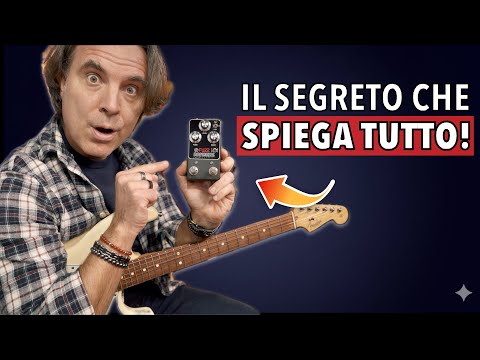 NOW You Understand Why It Costs (Almost) €300 and IS WORTH IT! Formula B Fuzz Rangers