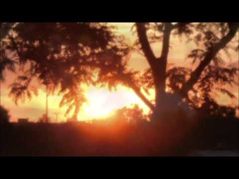 Elements 119 Featuring BAMIL and Lady N - The Shadow and The Tree