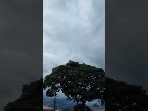 tempestade em Itaberá #shorts #itaberá #natureza #saopaulo #brasileiro #brasil #chuva #viral