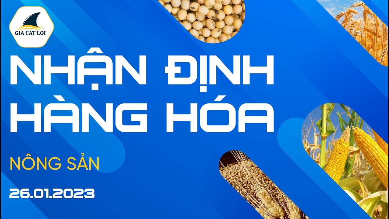 Nhận Định Thị Trường Nông Sản Ngày 26/01/2023