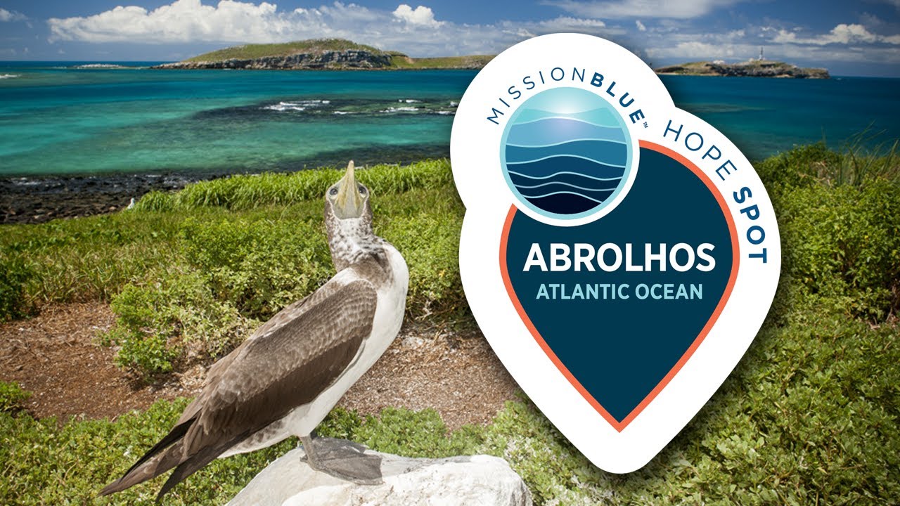 Dr. Sylvia Earle Announces The Abrolhos Hope Spot