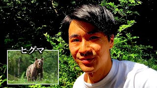 【種類別】森で遭遇した動物の反応の違い。