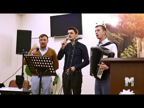 Fratii de la Cluj - Grupaj Nr. 2 - Oarta de Sus  [UHD 4K]