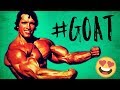 Arnold Schwarzenegger - THE GREATEST - Motivational Video