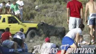 preview picture of video 'encierro por el campo Peñalver 28-07-2012.'