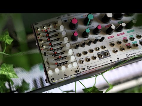 IN the case vs. OUT of the Case // Sequencing Eurorack