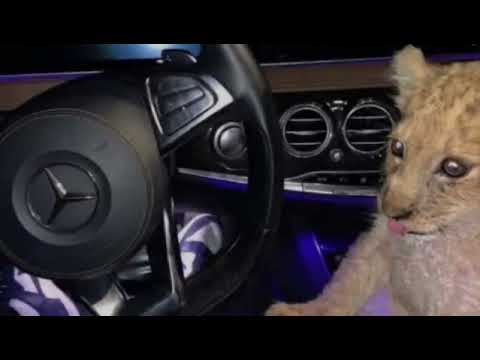 Cream x Salio el sol (Mow transition 128 - 110) [Bass Boosted]