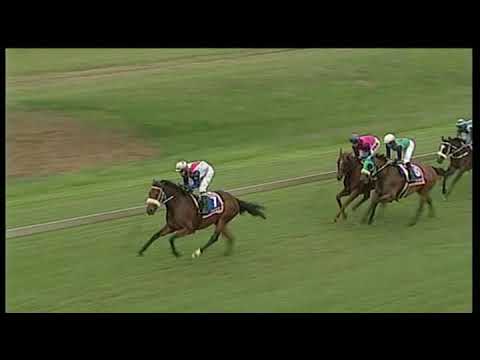 20190116 Race 3 Express clip won by ELLA'S WORLD