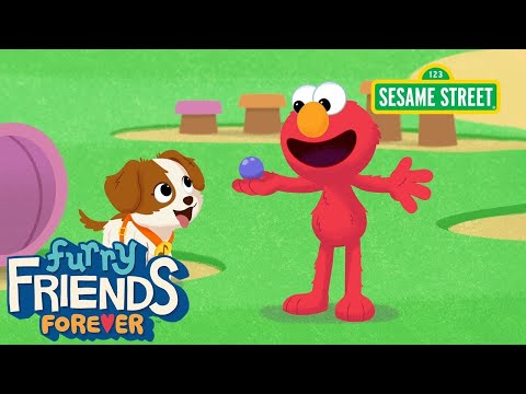 芝麻街》。尋找一個神祕的玩具 | Elmo & Tango 永遠的毛茸茸的朋友 (Sesame Street: Searching for a Mystery Toy | Elmo & Tango Furry Friends Forever)