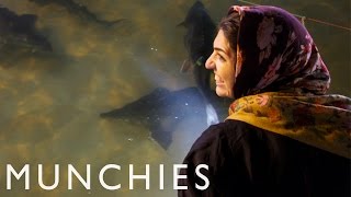 Beluga Caviar is Black Gold: MUNCHIES Guide to Tehran (Part 3/3)