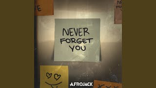 Never Forget You