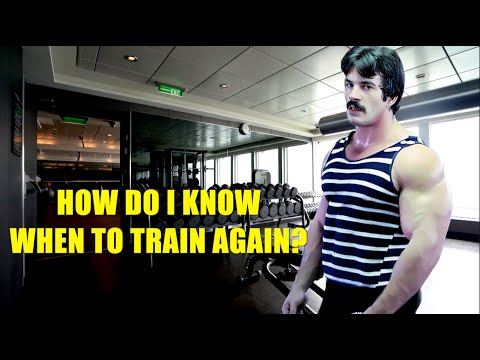 MIKE MENTZER: HOW DO YOU KNOW WHEN YOU SHOULD TRAIN AGAIN? #mikementzer  #gym  #motivation