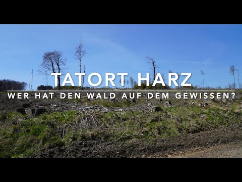 Tatort Harz - Kaputte Wälder und die Schuldfrage